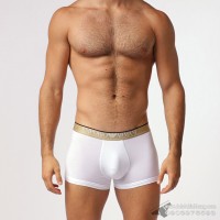 Quần lót nam Emporio Armani Shiny Logoband Trunk White